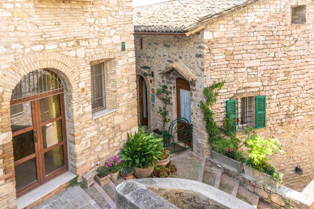 La Viola Di Assisi Hotel Eksteriør billede