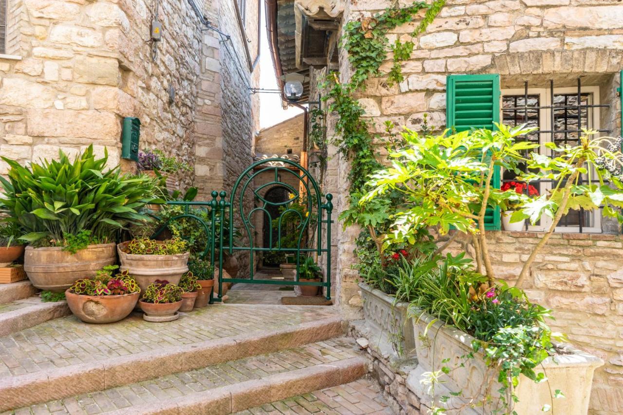 La Viola Di Assisi Hotel Eksteriør billede